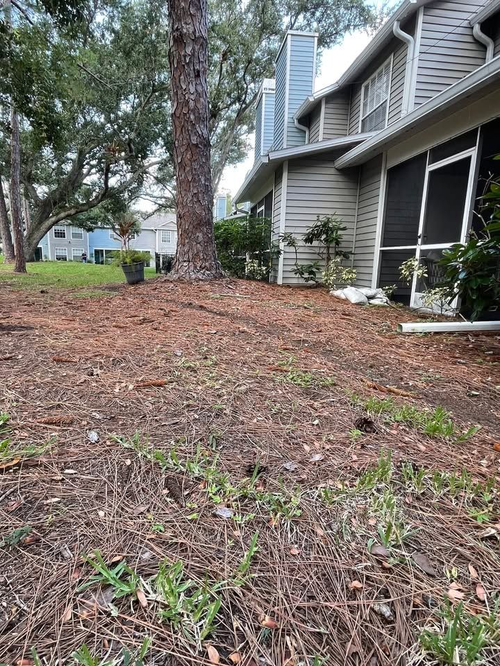 All Photos for Trinity Land Solutions in Brooksville, FL