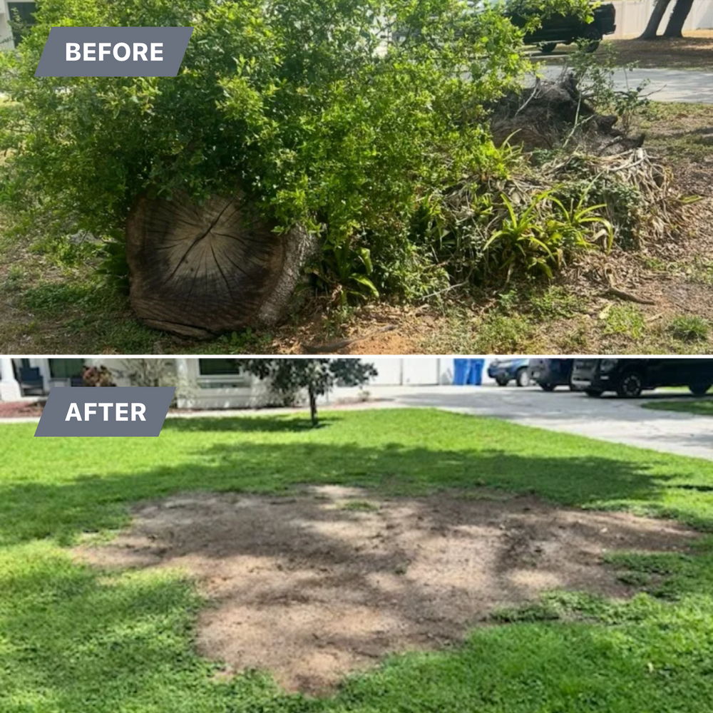 Stump Grinding for Greene Acres Stump Grinding in Plant City, FL