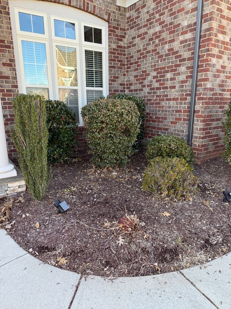 Before for Dream Cuts Landscaping and Lawn Care LLC in Gastonia, NC