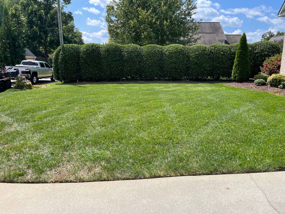 Lawn Care for CW Lawn & Landscape in Hickory, NC