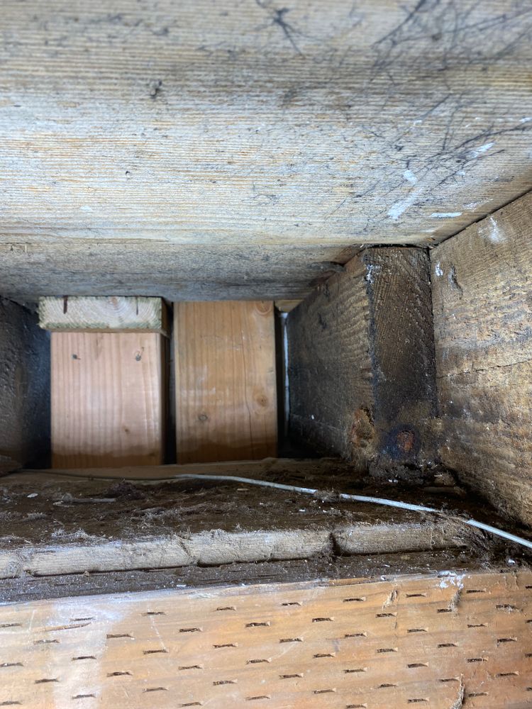 All Photos for Tony's Remodeling & Painting in Renton, WA