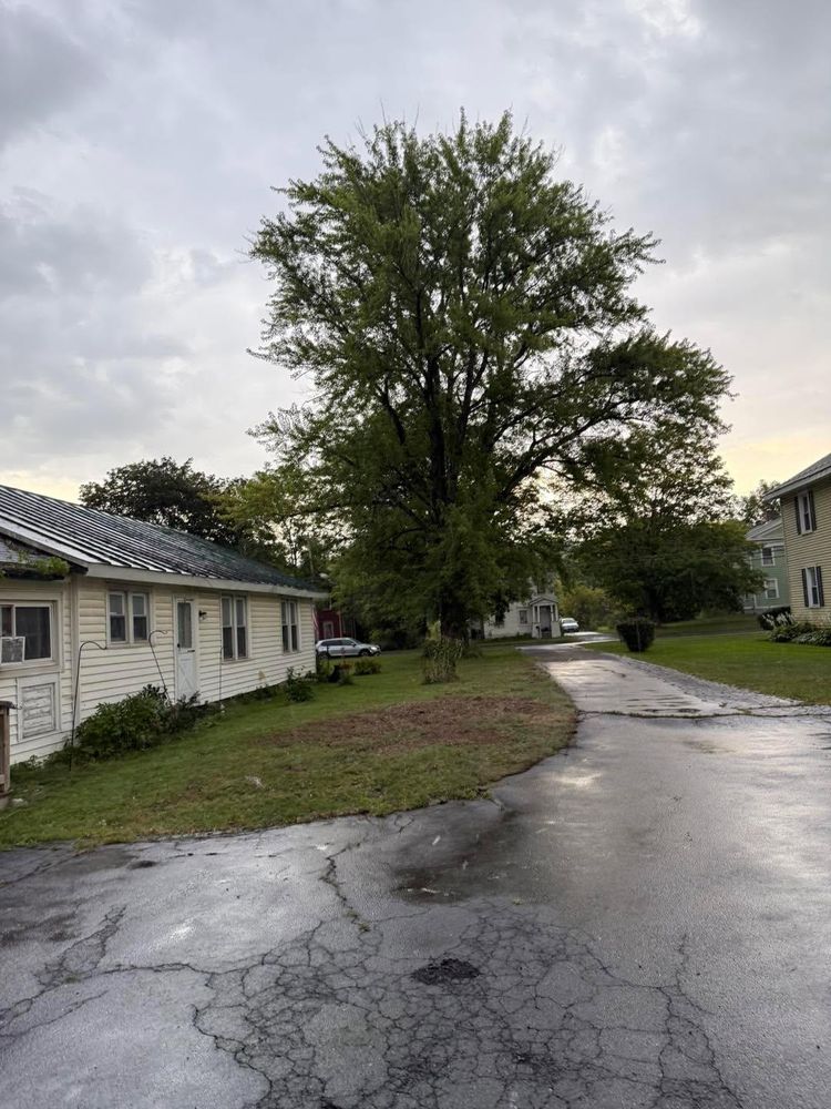 All Photos for Sterlings Tree Removal in Cobleskill, New York