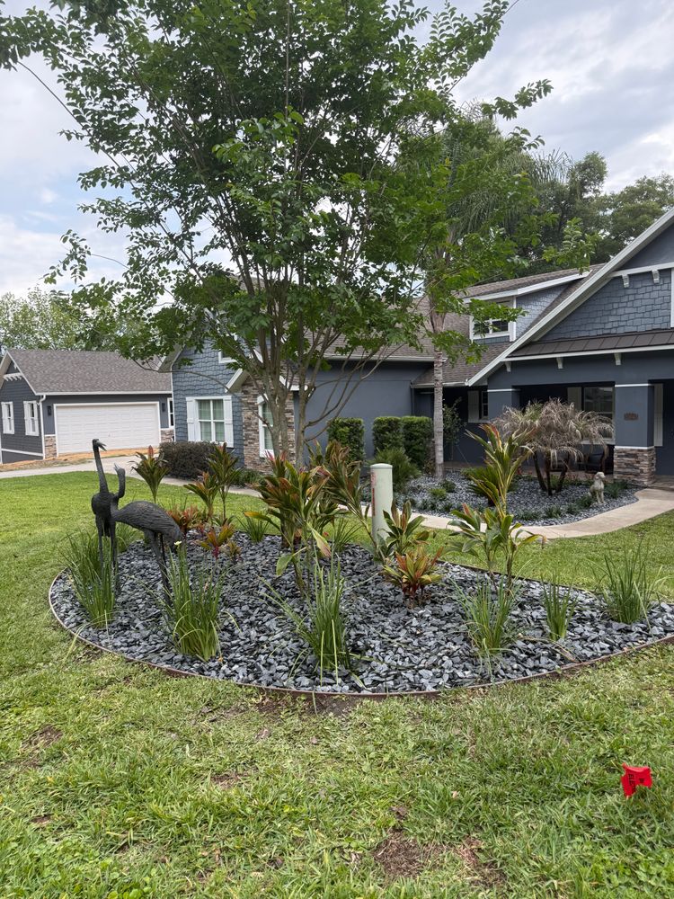 All Photos for Amerigrown Tree And Lawn in Apopka, FL