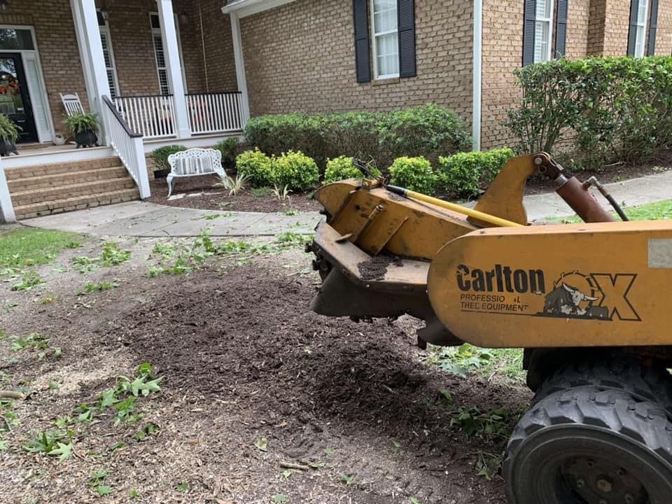 Our Stump Grinding service efficiently removes unsightly tree stumps, enhancing your landscape’s beauty and safety. Let our experts restore smoothness to your yard with professional, precise stump removal solutions. for Coastal Tree & Stump in Charleston, SC