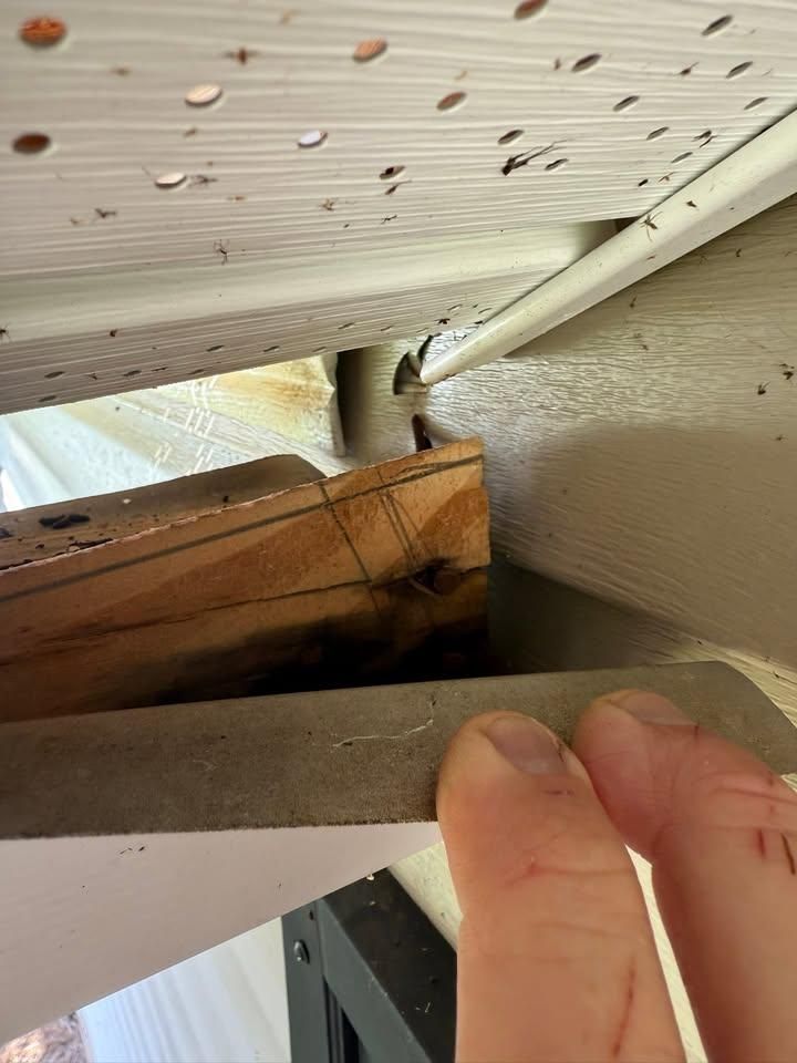 All Photos for AVCO Roofing in Fayetteville, NC