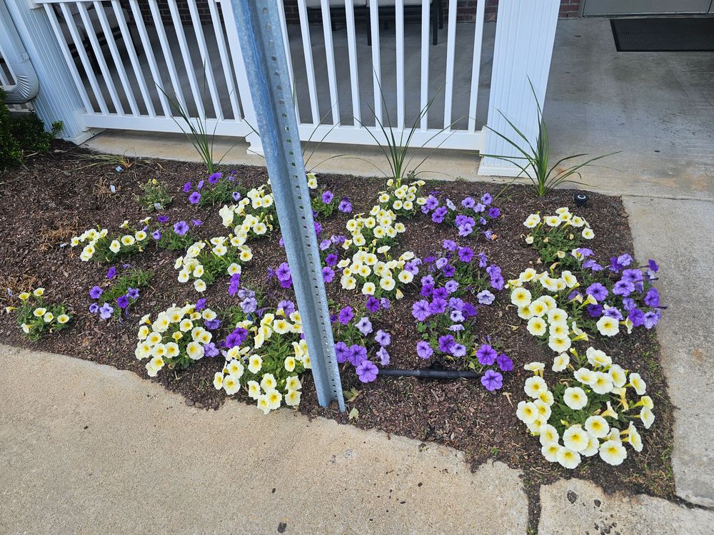 All Photos for Trinity Landscapes  in Lumberton, NC