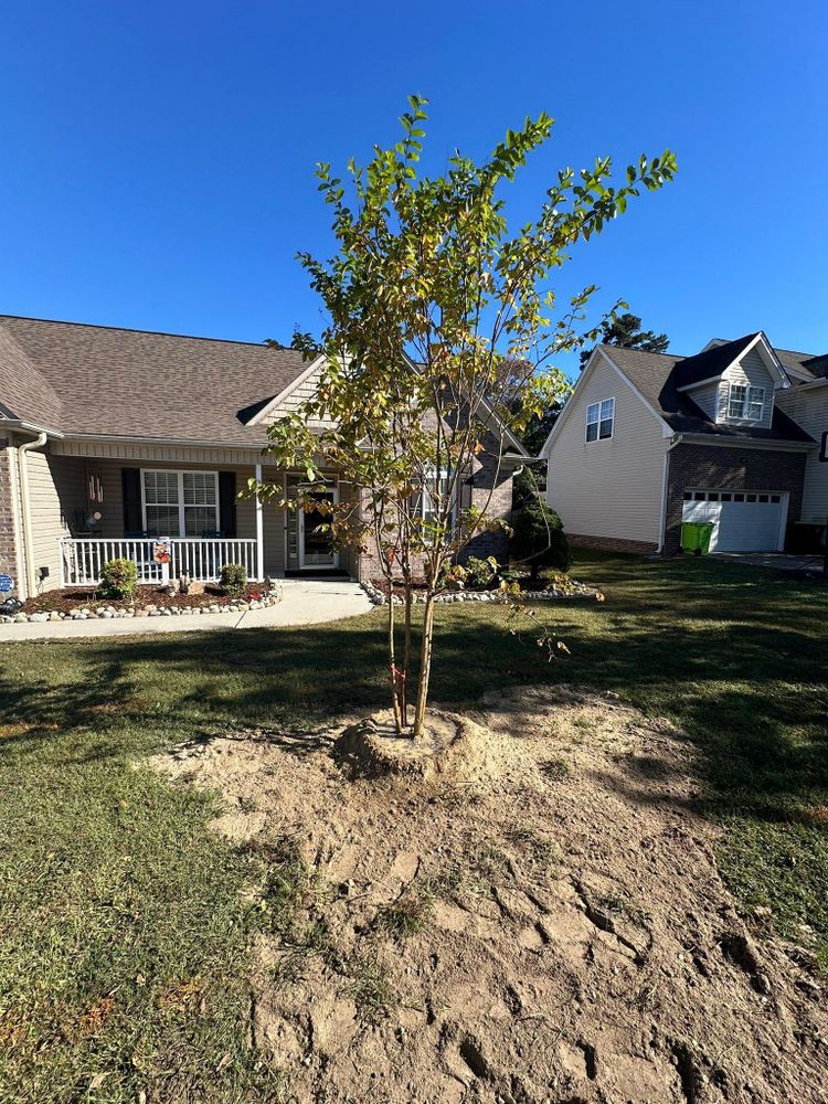 All Photos for Queen’s Landscaping in Kernersville, NC