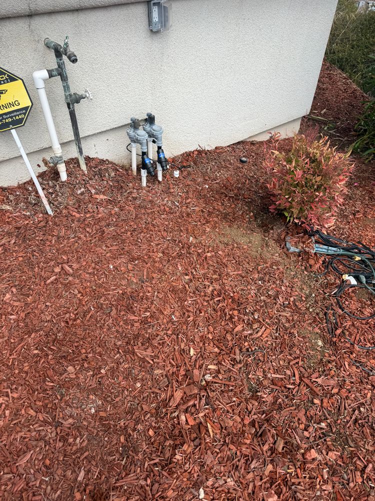 All Photos for CBA Landscaping in Hayward, CA