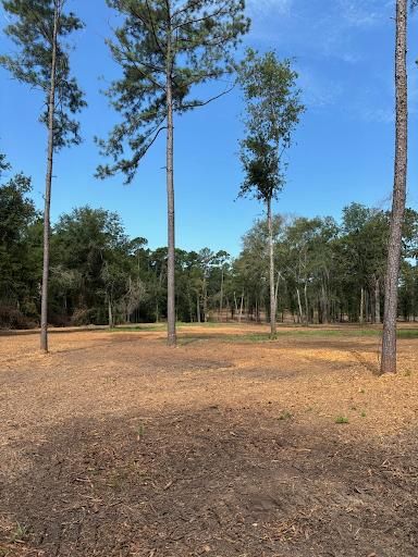 All Photos for JM Services in Woodville, TX