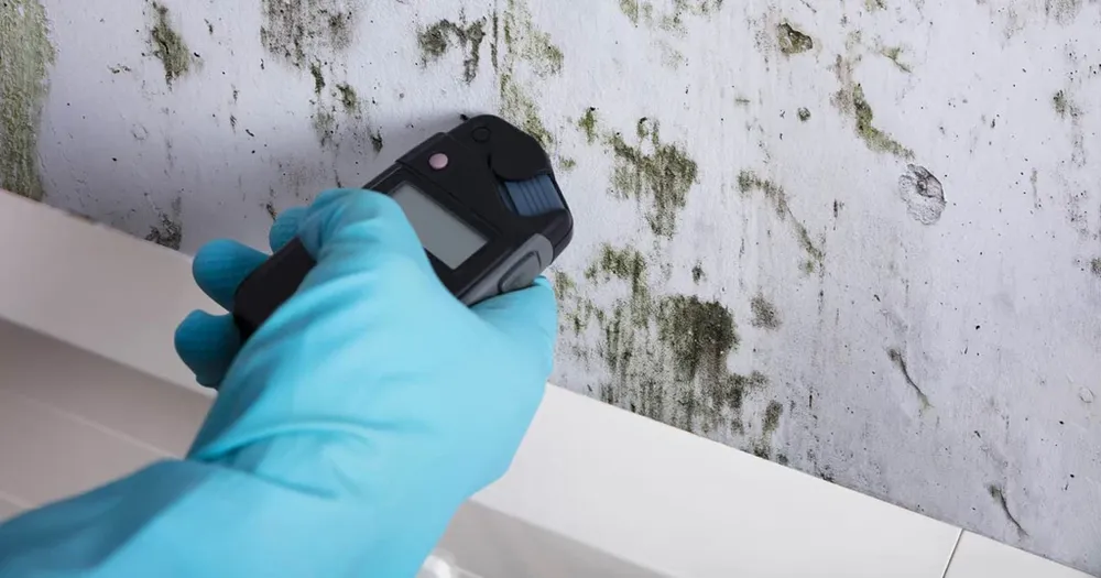 Our Mold Testing & Air Quality Sampling service ensures a healthier home by accurately identifying mold presence and assessing indoor air quality, providing crucial information for effective cleaning and restoration solutions. for EFG Cleaning and Restoration in Poughkeepsie, NY