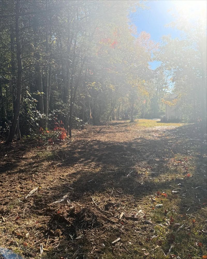 All Photos for T Crane Grading LLC in Clarkesville, GA