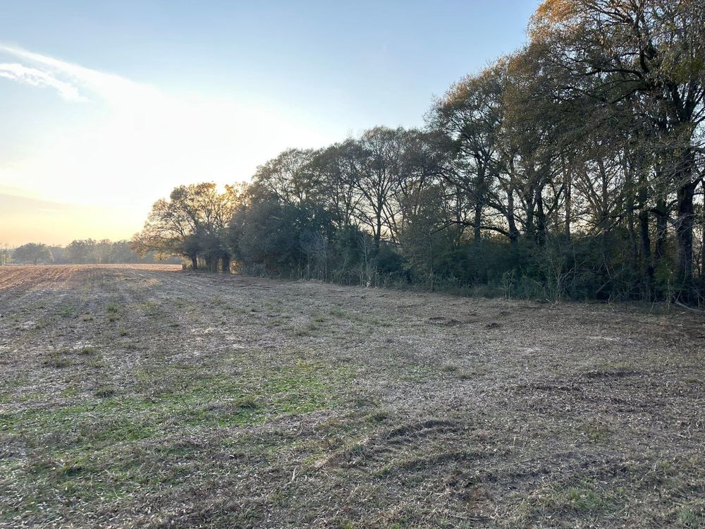 All Photos for White’s Land Maintenance in Milton,, FL