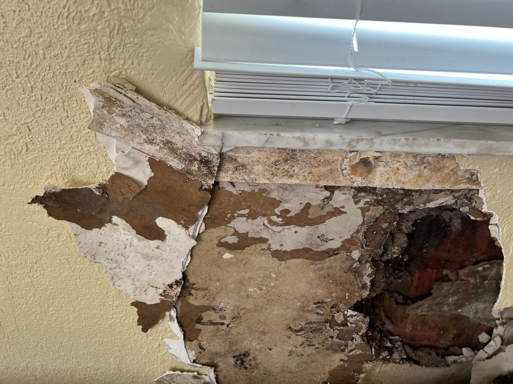 Mold Remediation for N&D Restoration Services When Disaster Attacks, We Come In in Cape Coral,  FL