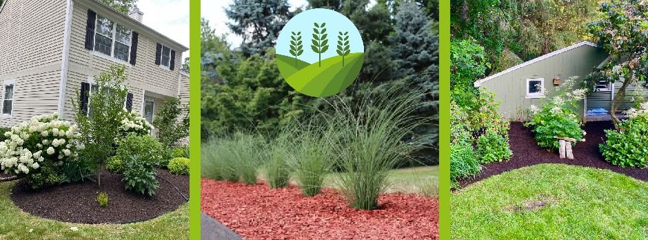 All Photos for Dibs Landscaping LLC in Cheshire, CT