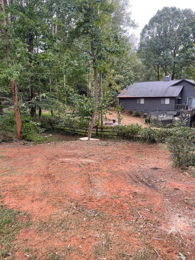 Tree Services for K-2 Tree Service in Shelby, NC