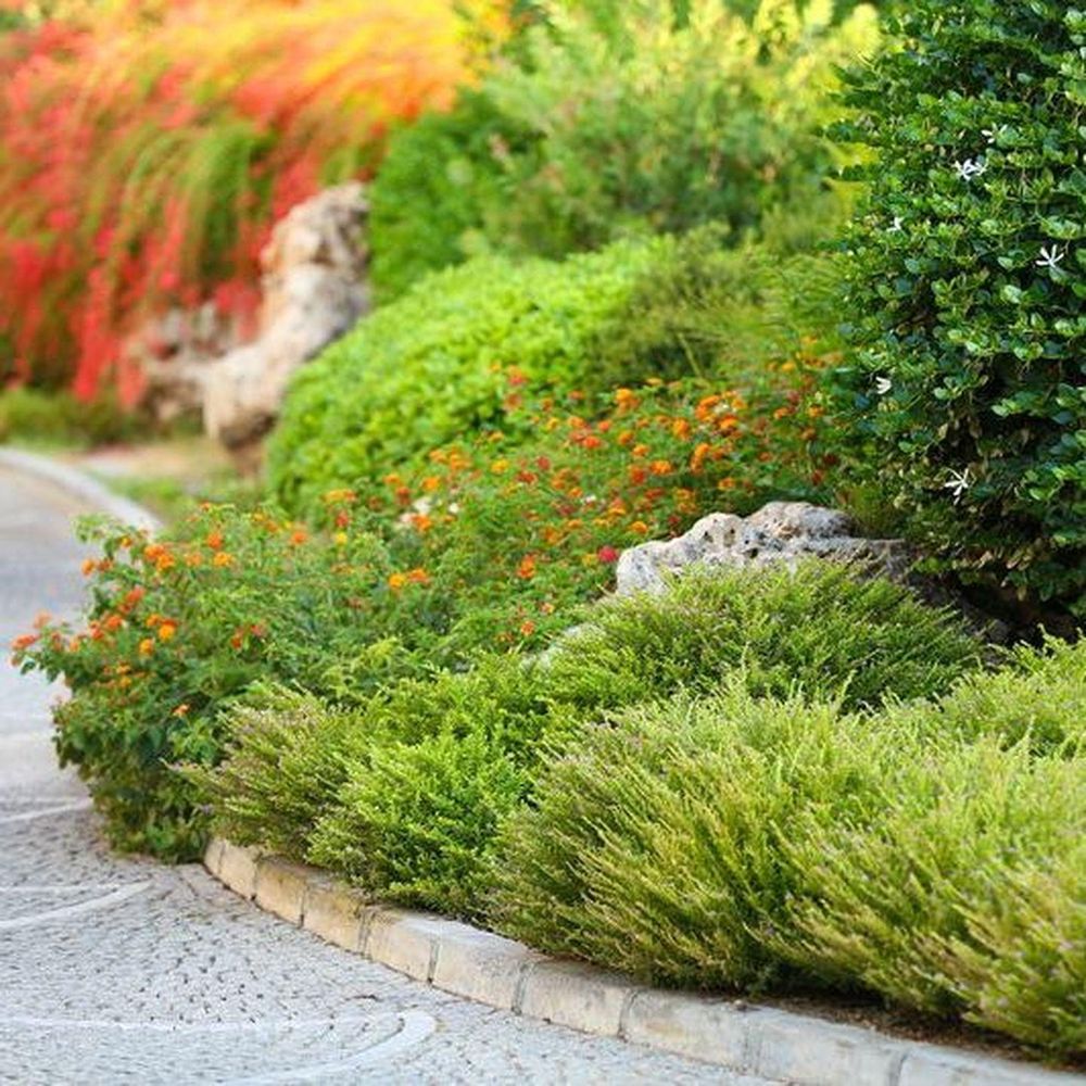 All Photos for Terra Heights Tree Experts & Landscaping  in Grass Valley,  CA