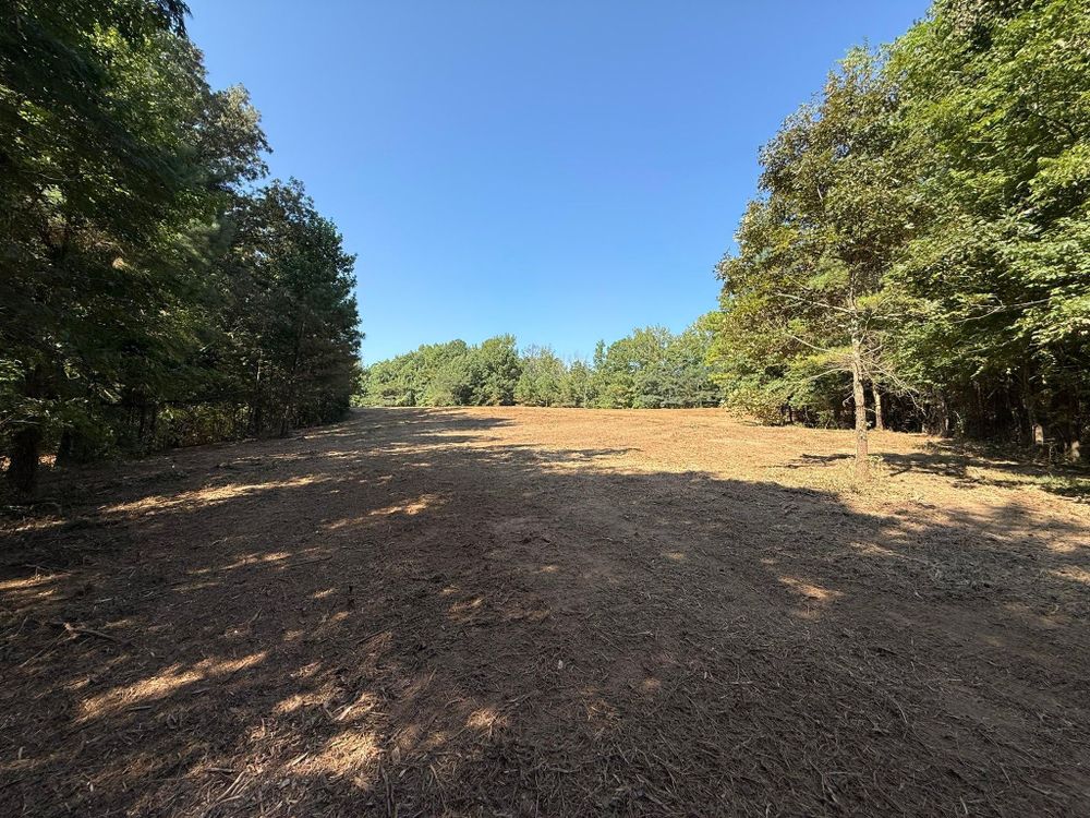 All Photos for Mud Creek Vegetation Management in Russellville, AL