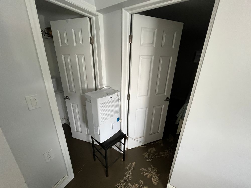 All Photos for Surplus Public Adjusters in Miami-Dade County, FL