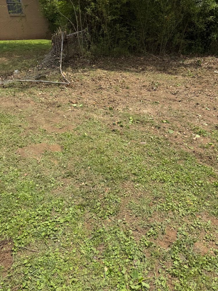All Photos for Kingdom Landscaping in Memphis, TN