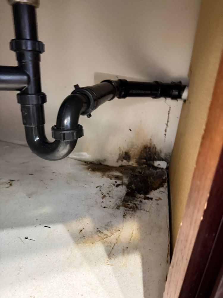 All Photos for ACM Environmental in Salt Lake City, UT