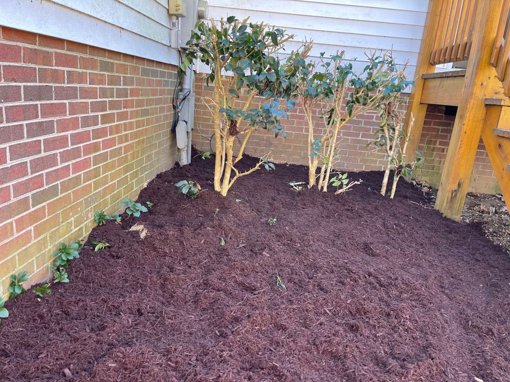 All Photos for Lewis Oaks Landscaping in King and Queen County, VA