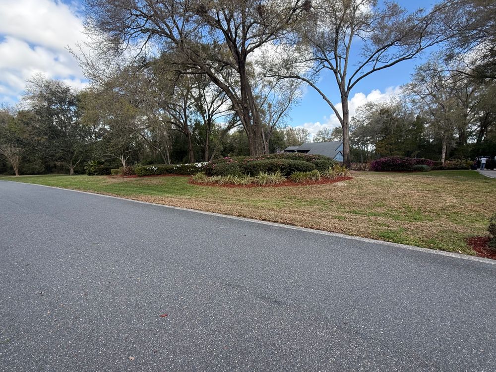 All Photos for Amerigrown Tree And Lawn in Apopka, FL