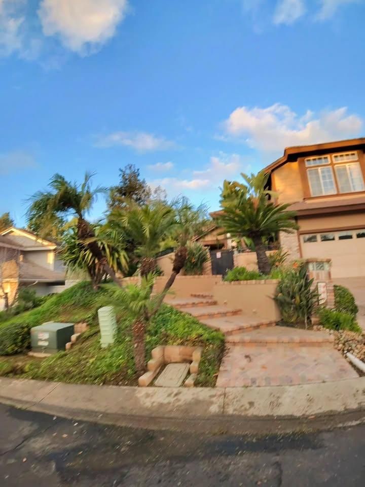 All Photos for Benito's Gardening in San Juan Capistrano, CA