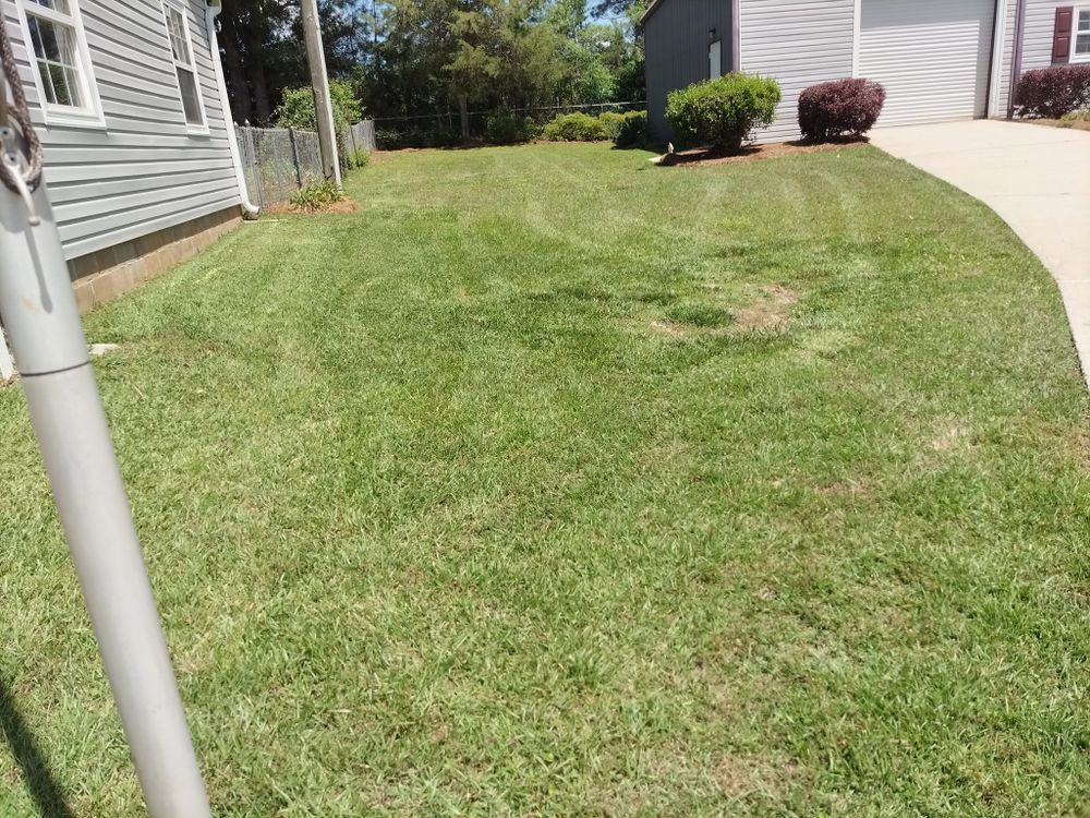 Landscaping for Fresh Cut Yard & Lawn Care LLC in Forsyth, GA