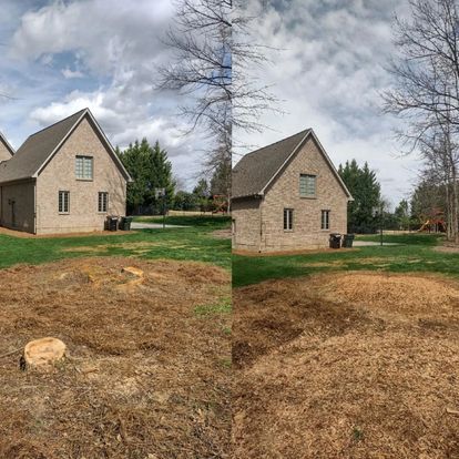 All Photos for Morgan's Stump Removal in Rock HIll, SC