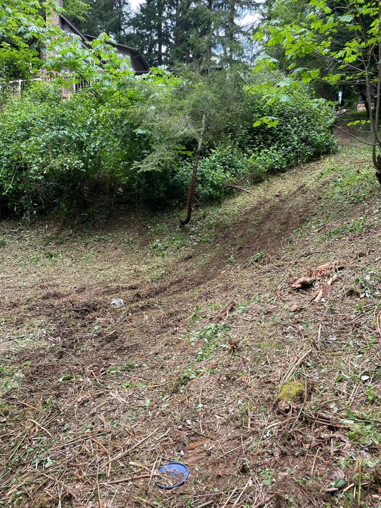 Tree Removal for Wilderness Stump Grinding in Orting, WA