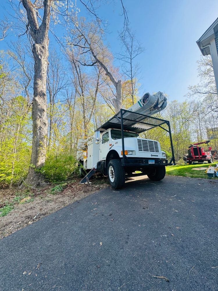 All Photos for Hennessey Tree & Landscape LLC in Oxford,  CT 