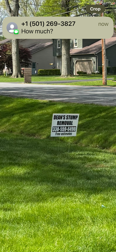 All Photos for Dean's Stump Removal in Youngstown, OH