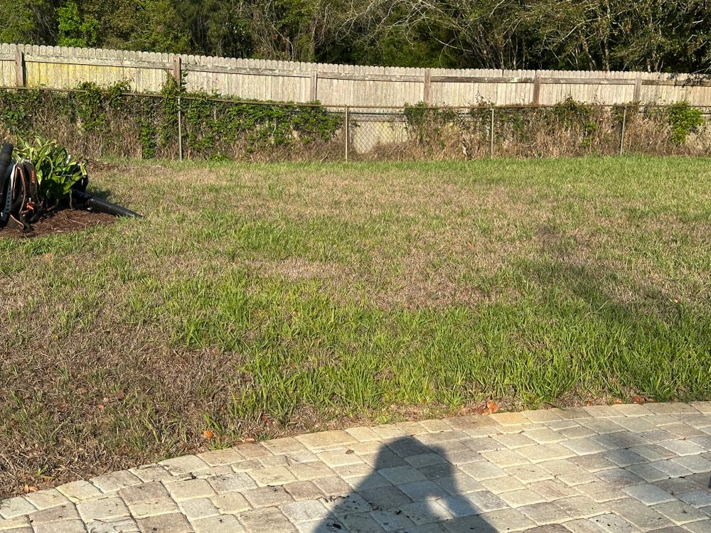 All Photos for All of the Above Landscaping in Orange Park, FL