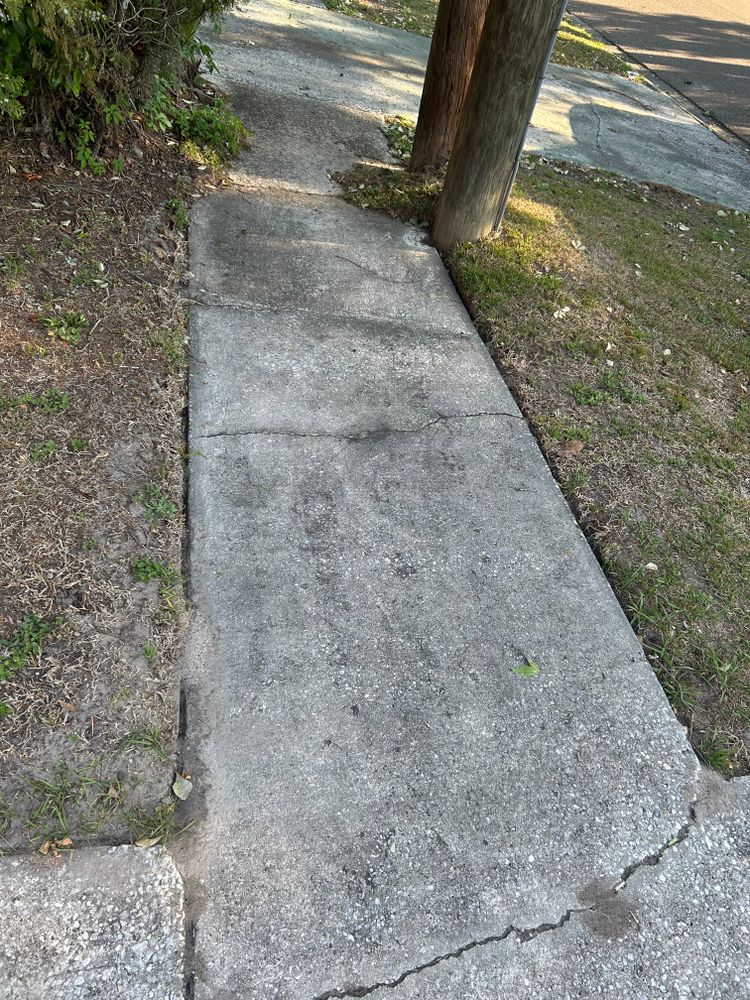 All Photos for Project Masters Group in Tampa, FL