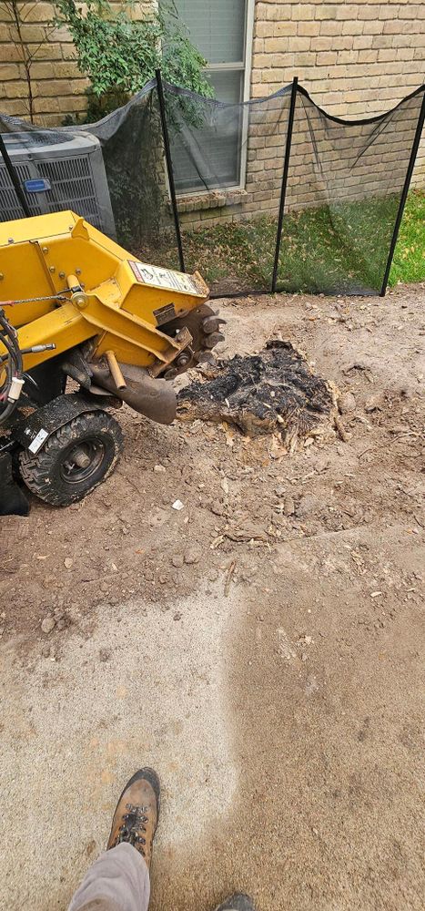 Our Stump Removal service ensures complete removal of unsightly stumps left behind after tree removal, allowing for a clean and seamless transition in your yard's landscape. Trust us for professional results. for Servin's Tree Care  in Houston, TX