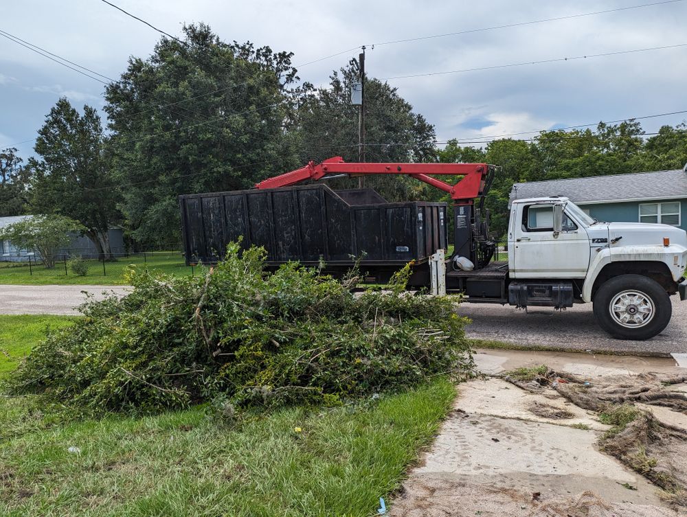 All Photos for Regal Tree Service and Stump Grinding in Wauchula, FL