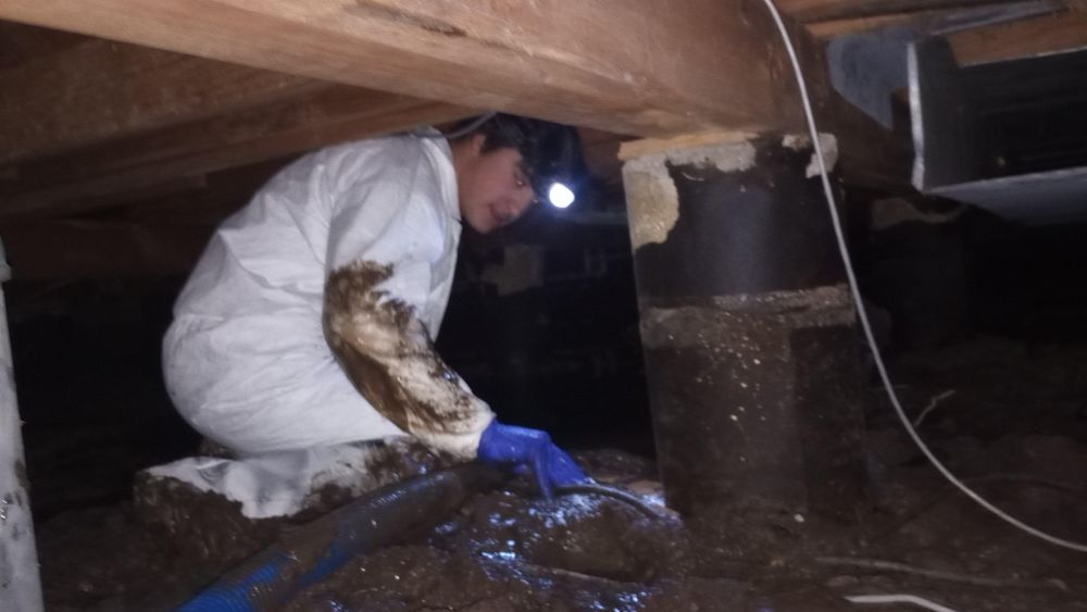 Water Damage for Steam Team Restoration and Cleaning in Amarillo, TX