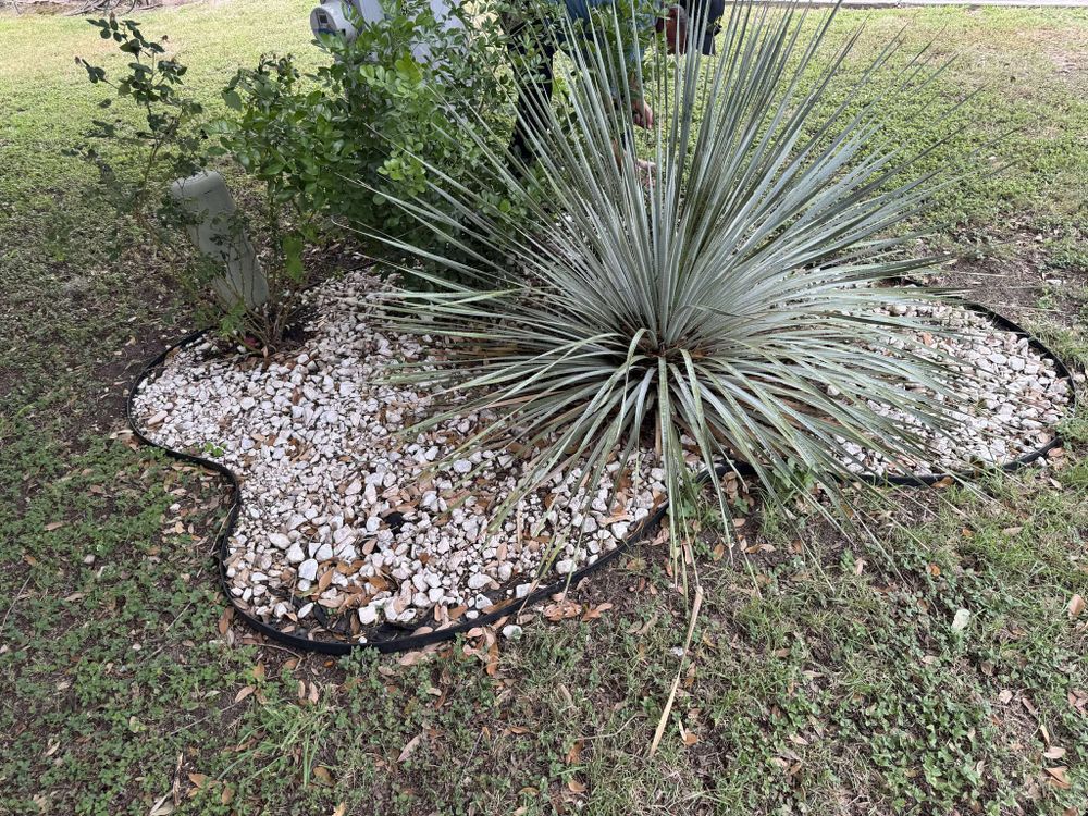 All Photos for Fresh Yards Landscaping in Austin, Texas