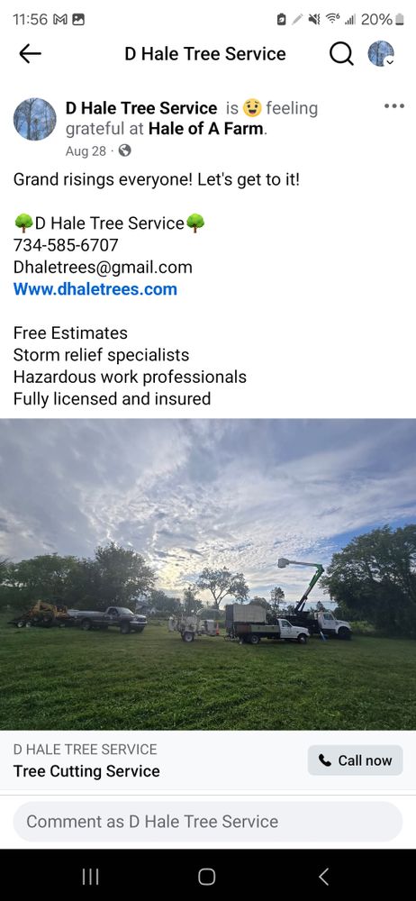 All Photos for D Hale Tree Service in Ann Arbor, MI