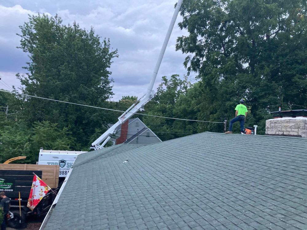 Mowing and Tree Services for 5150 Mowing Services in Springfield, MO