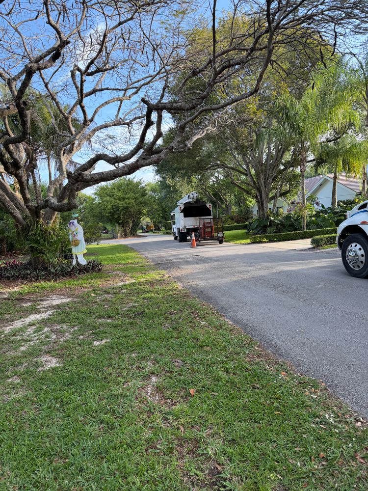 All Photos for Regional Land Construction in Miami, FL