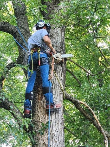 Hunnicutt’s Tree Service L.L.C. team in Monticello, IN - people or person