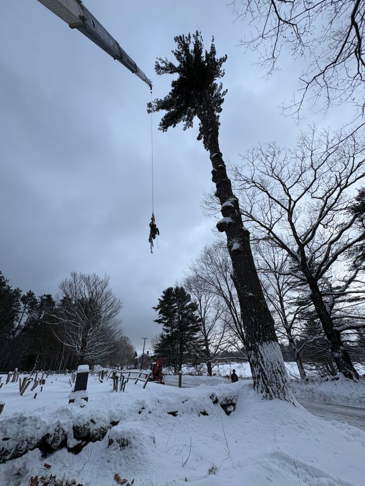 All Photos for Clifford’s Quality Tree Care & Landscaping in Enfield, NH