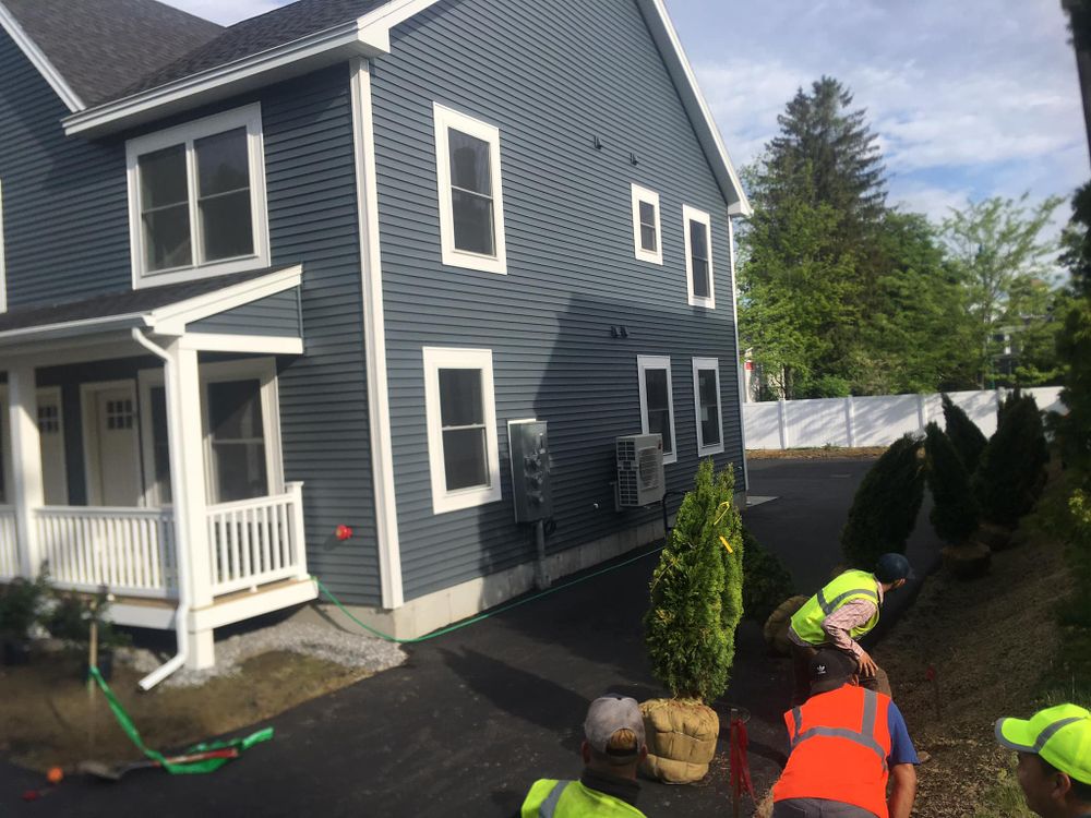 Tree Removal for Green In Green Out Tree Services in Westbrook, ME