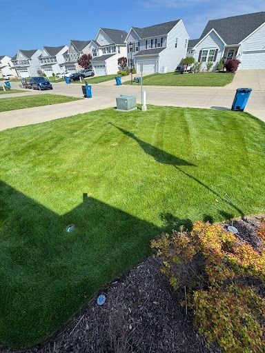 All Photos for Yard Theory in Willowick, OH