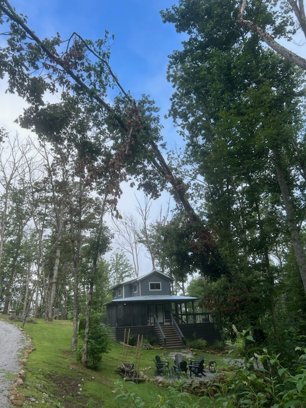 All Photos for McBee’s Tree Service in Sewanee, TN