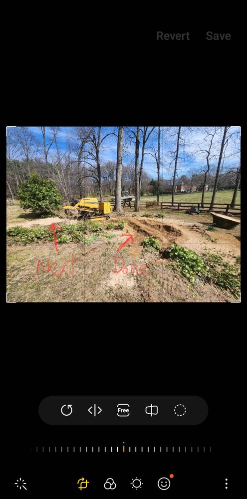 Landscaping for Douthat Solutions in Clearwater, FL