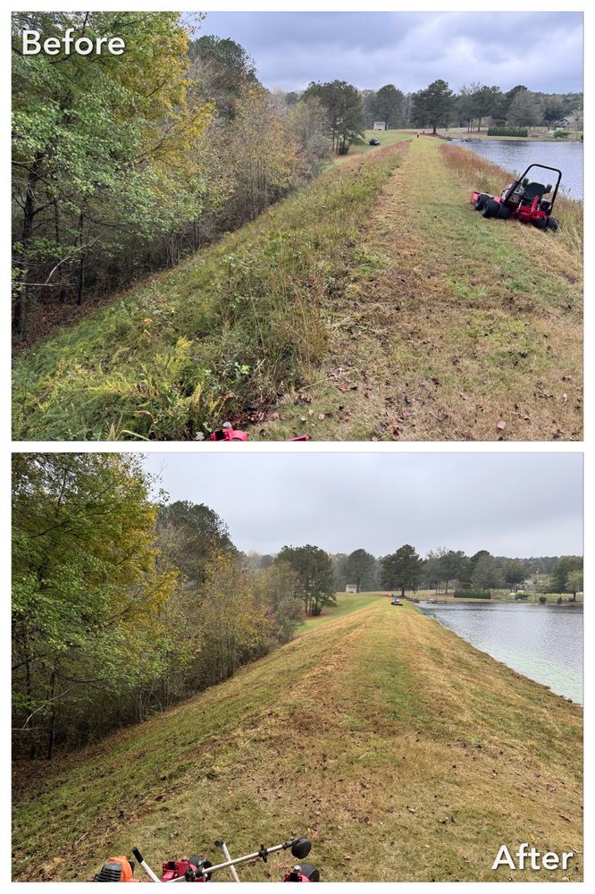 Brush Cutting and Removal for Fayette Property Solutions in Fayetteville, GA