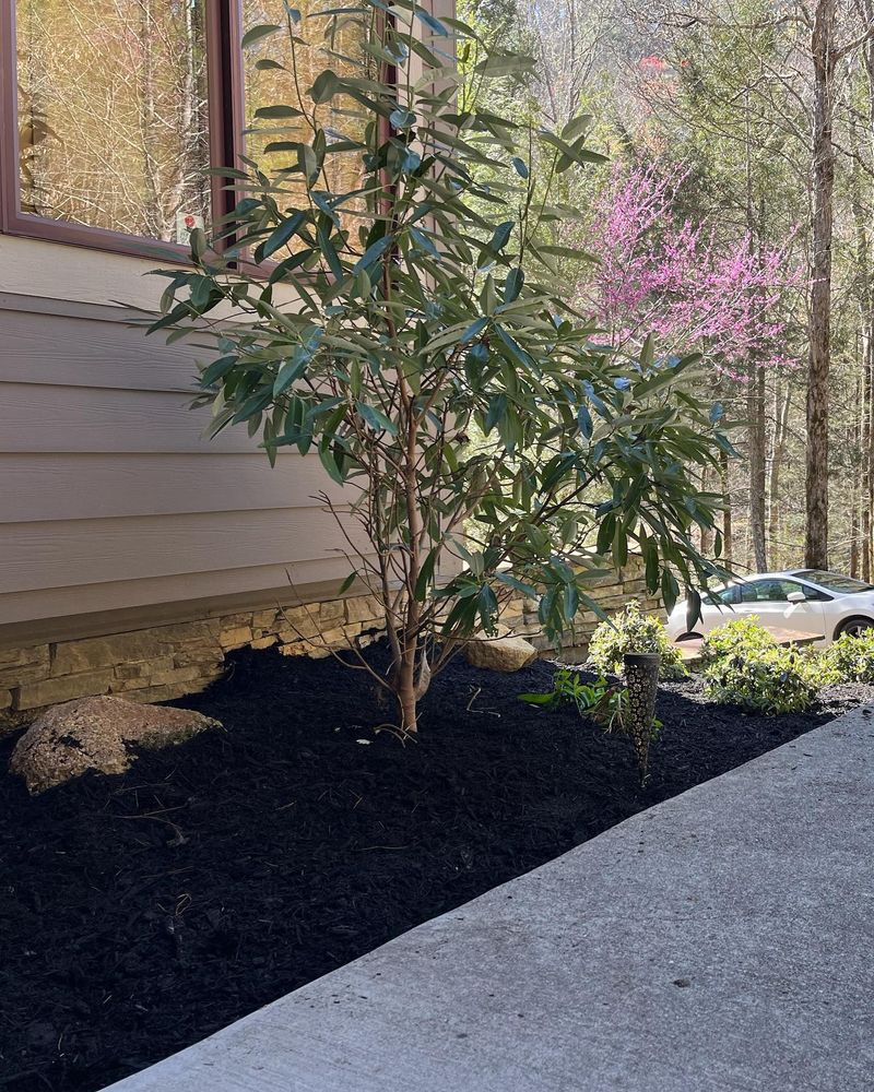 Enhance your garden's health and curb appeal with our professional mulch installation service, designed to improve moisture retention, suppress weeds, and ensure optimal plant growth for a vibrant outdoor space. for Smoky Mountain Landscaping in Maryville, TN