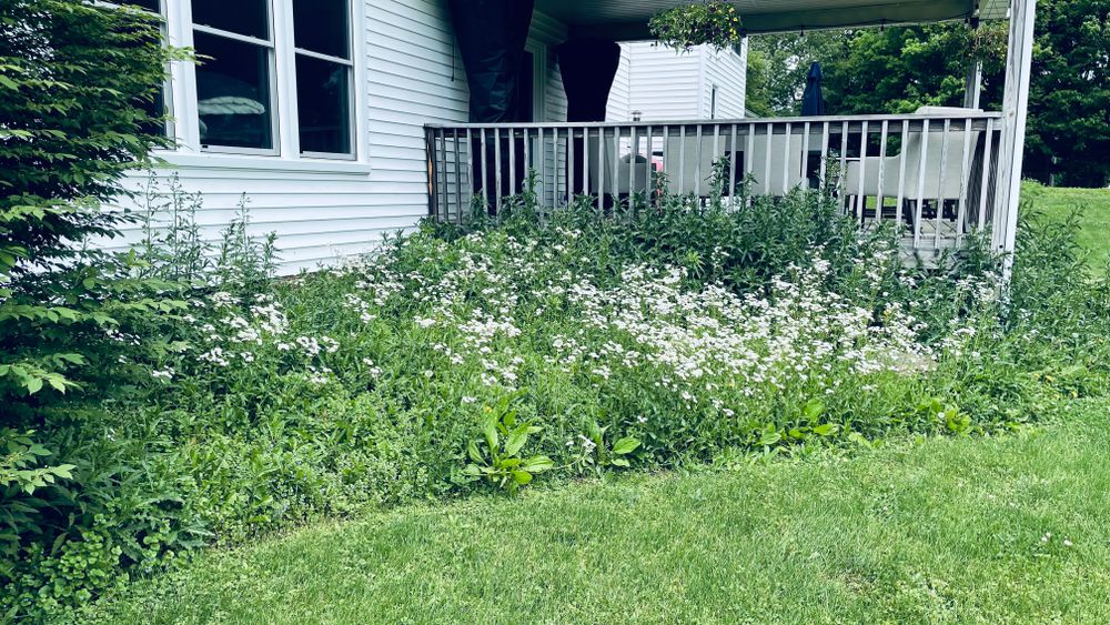 All Photos for Green Stripes LLC in North Canton, OH
